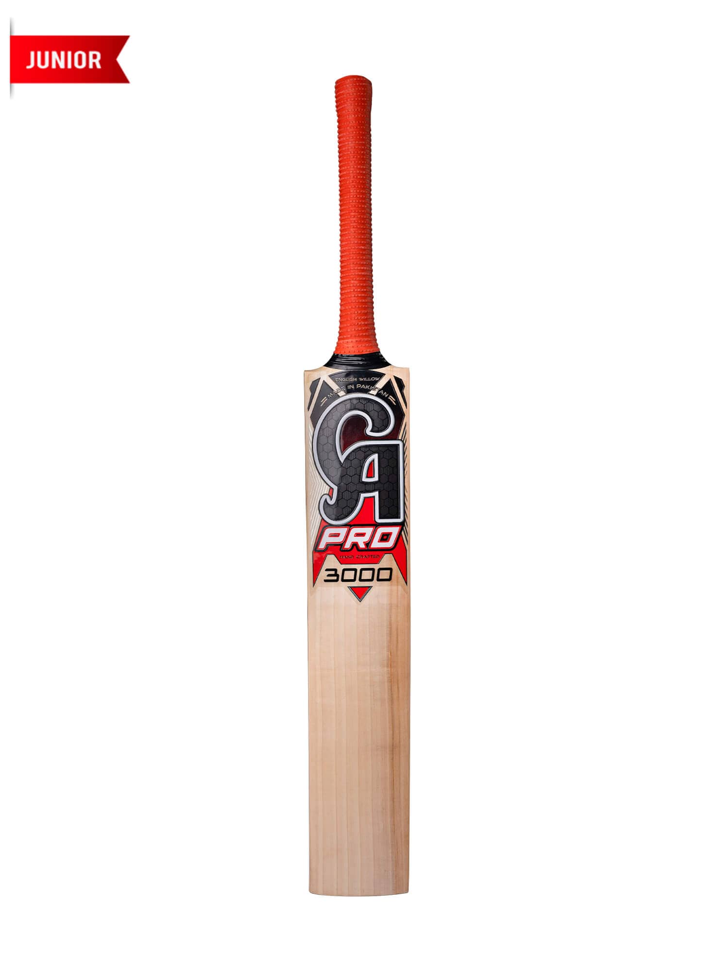 CA PRO 3000