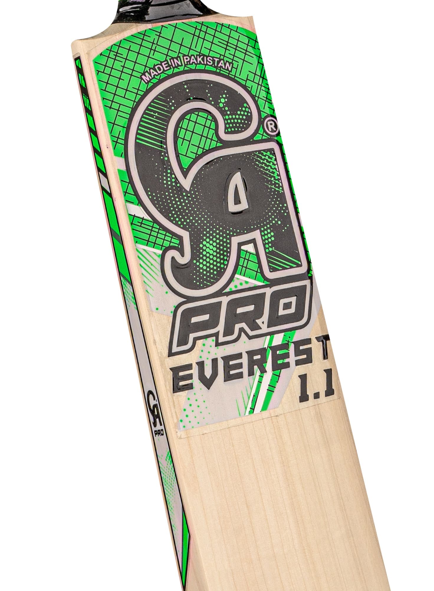 CA PRO Everest 1.1 - thumbnail 5