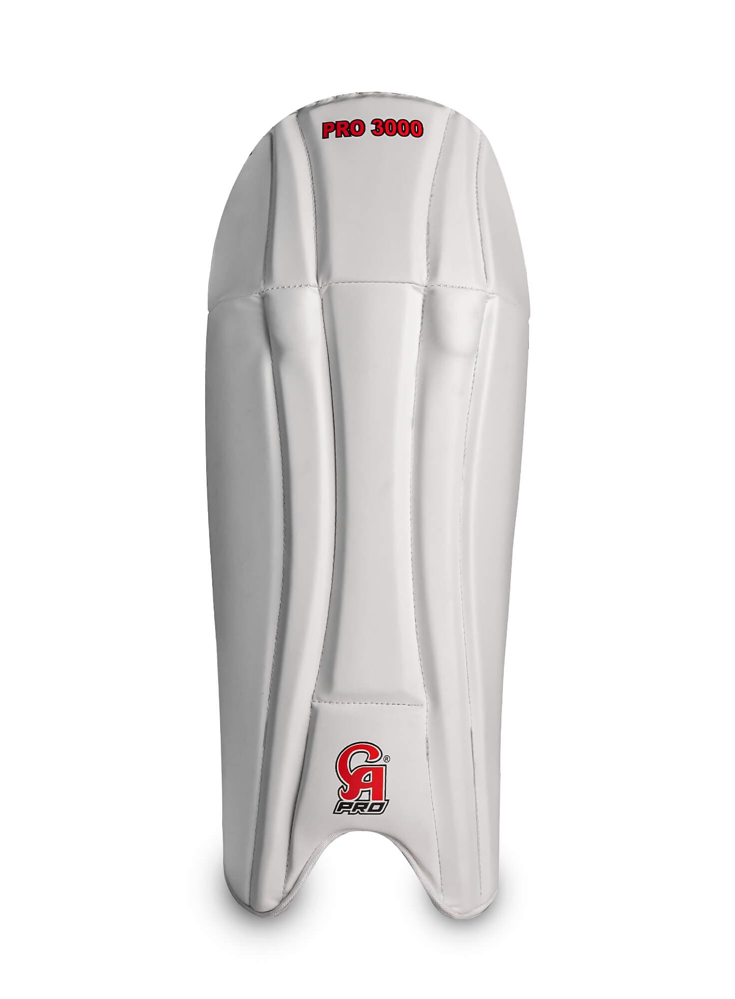 Pro 3000 - image 1