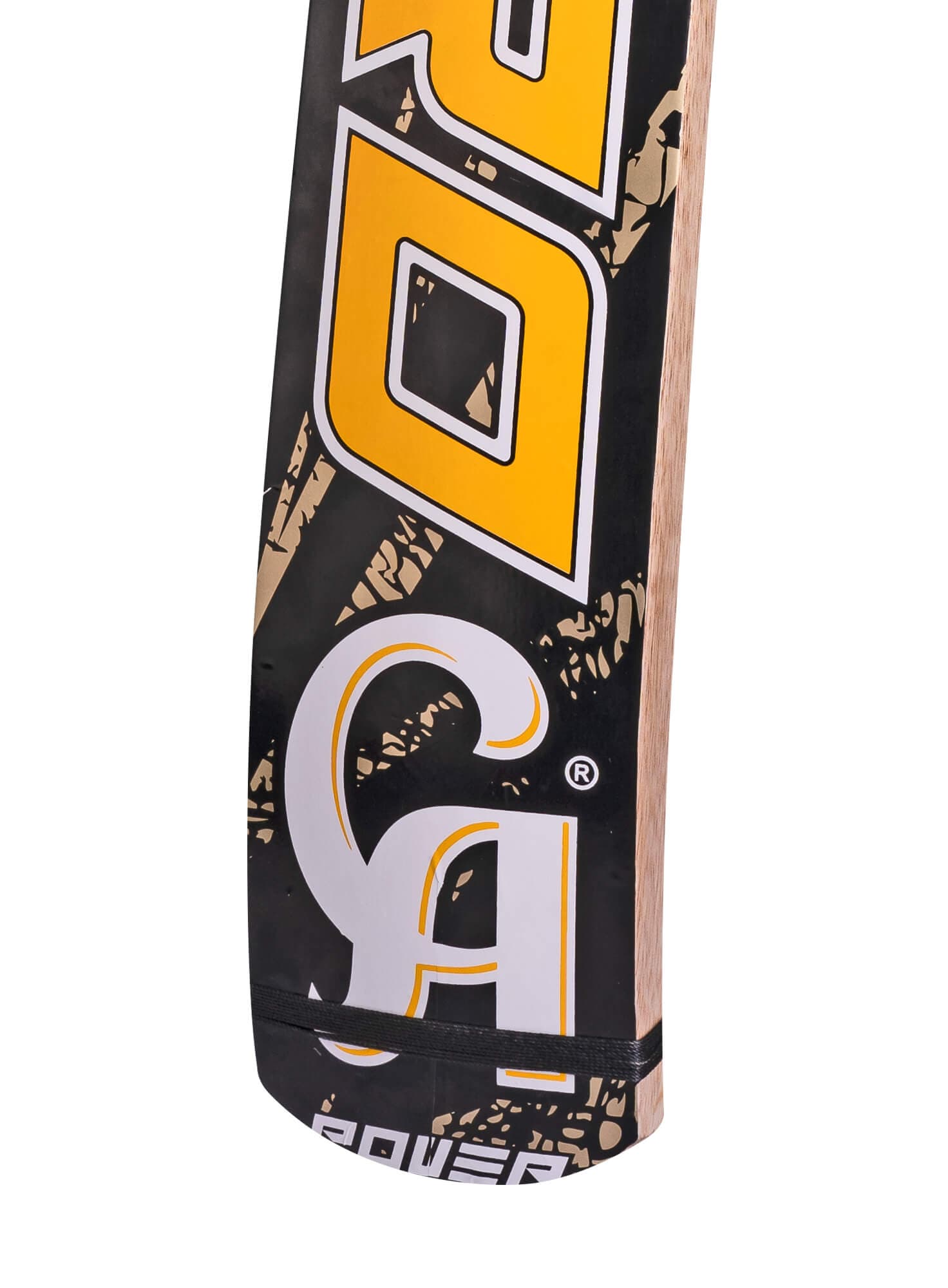 CA PRO Power - thumbnail 5
