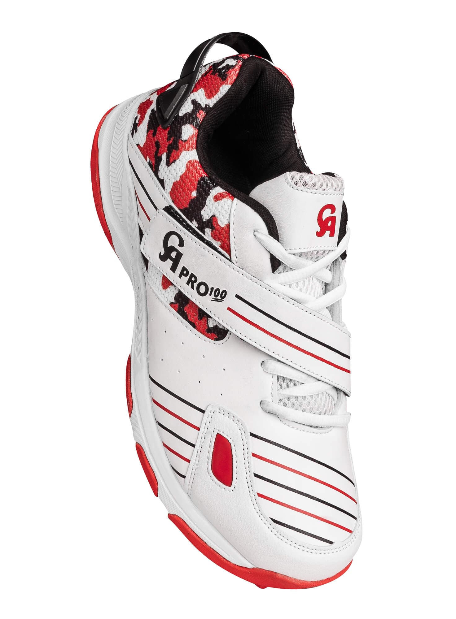 Pro 100 - image 1