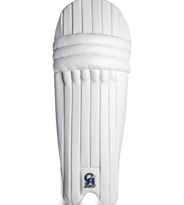 CA Pro 2000