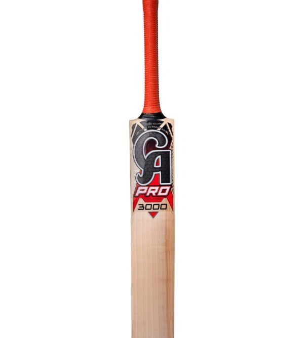 CA PRO 3000