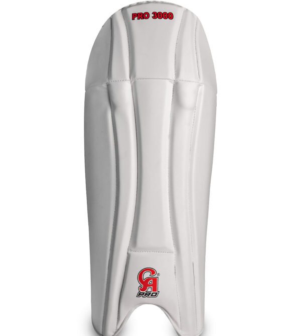 Pro 3000