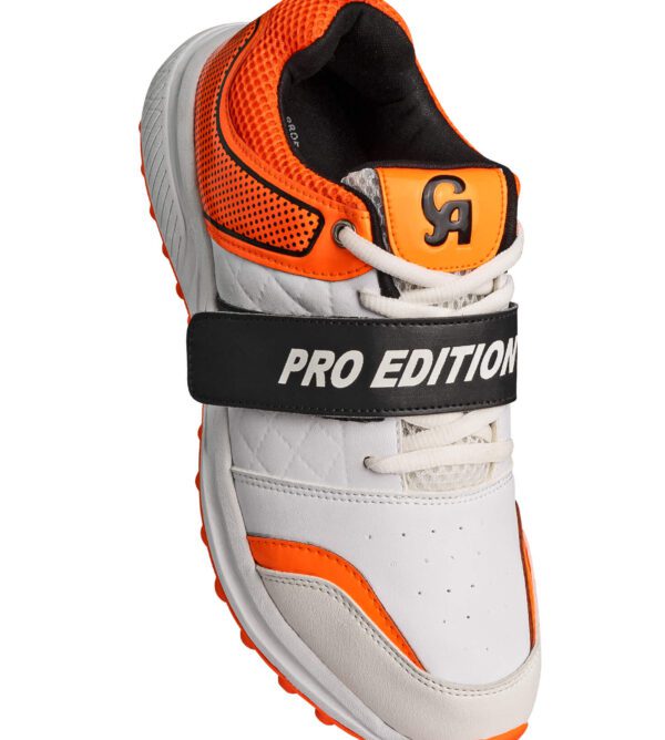 Pro Edition