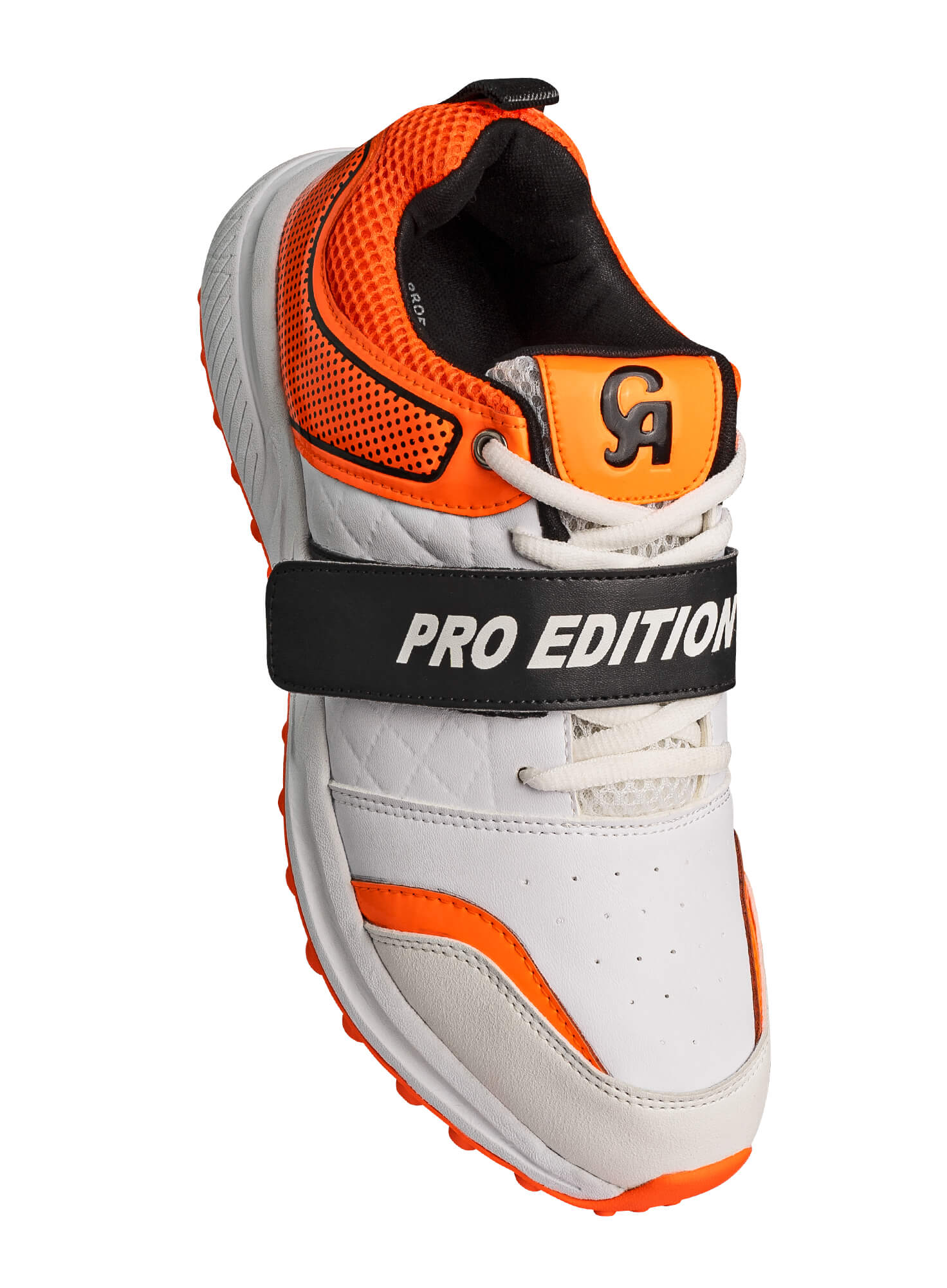 Pro Edition